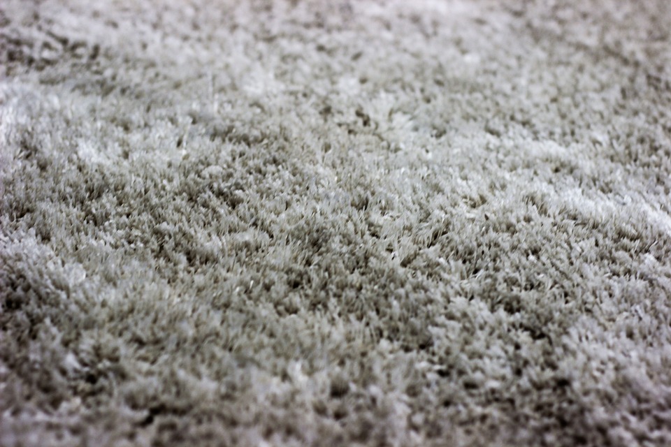 Carpet